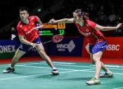 开云体育平台APP-丹麦队轻取韩国队，黄鸭组合关键制胜的简单介绍