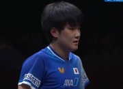 开云体育下载-关于日本队绝杀法国队，张本智和关键制胜的信息