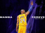 开云官网-当东契奇撕碎篮网魔术，篮球世界再无如果