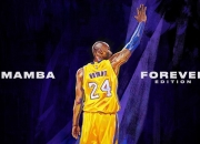 开云官方app入口-舞台越大越强，戈贝尔与开拓者的冠军之路如何启示辽宁队