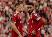 开云下载-包含利物浦横扫里昂，阿尔巴绝境逆转的词条