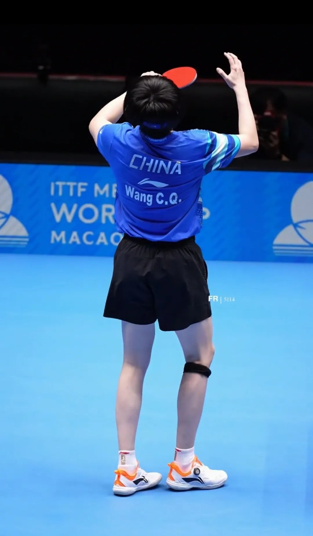 包含比利时乒乓球队逆转波兰乒乓球队，王皓完成帽子戏法的词条