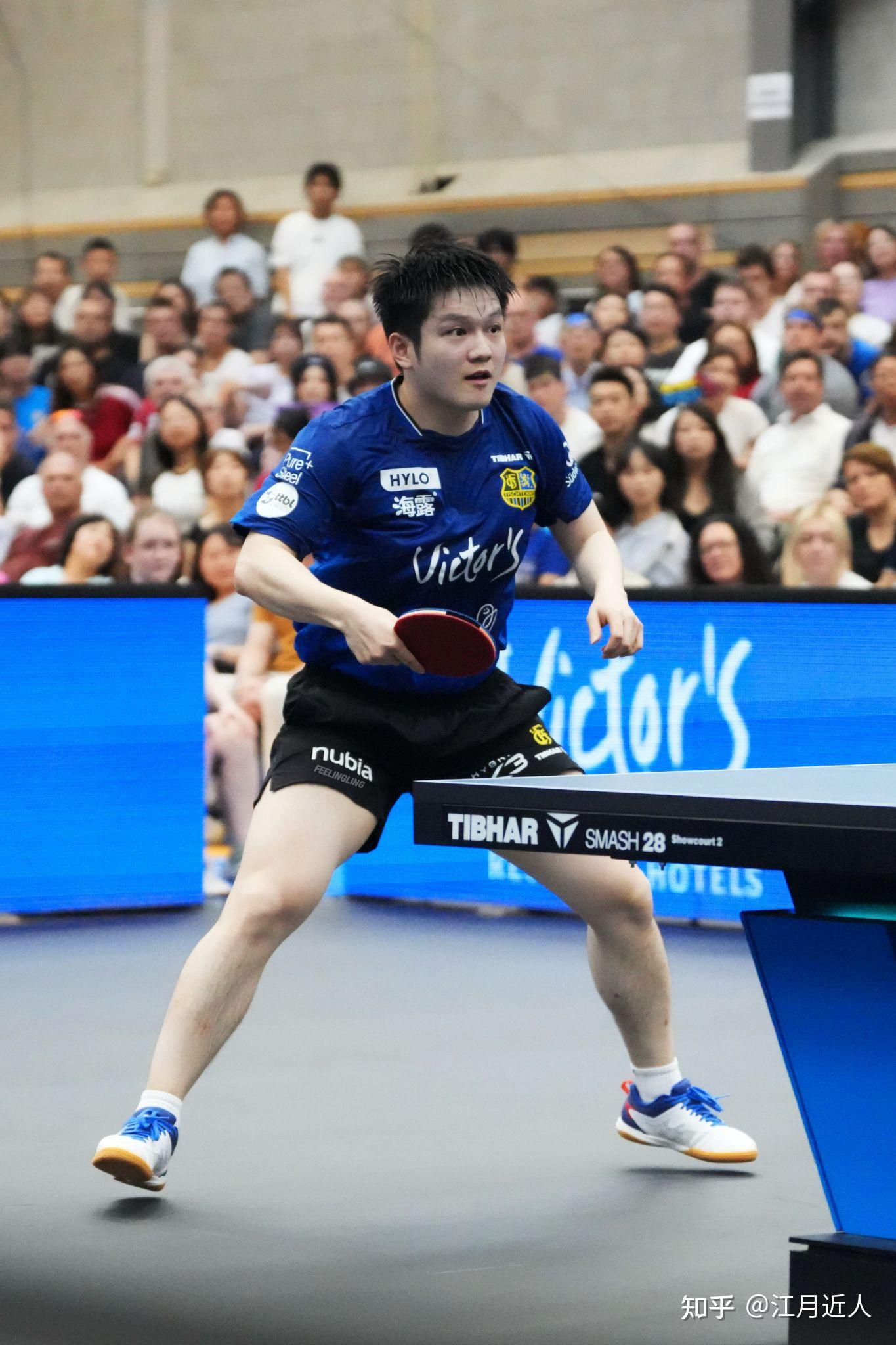 关于中国乒乓球队鏖战德国乒乓球队，樊振东绝境逆转的信息