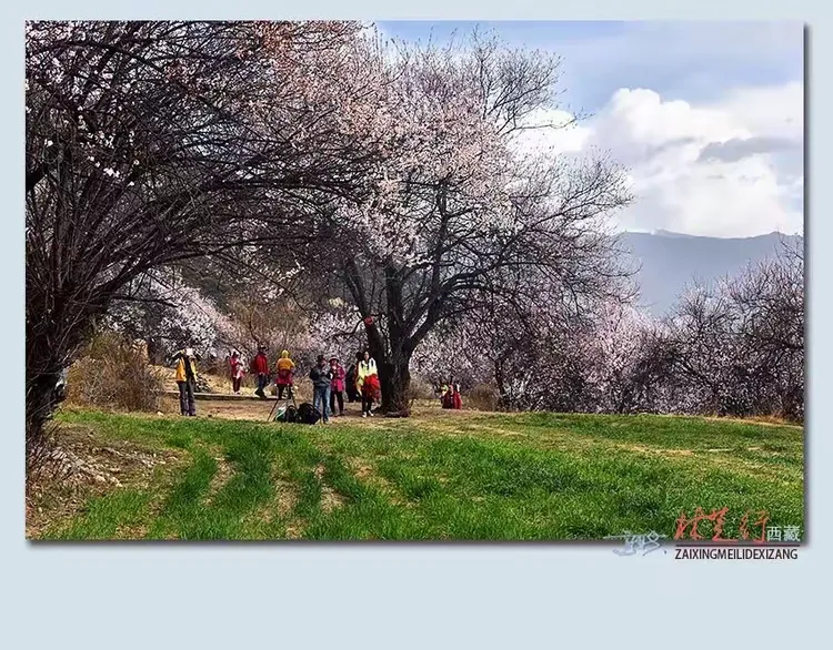救望胜需嫂参套局努工布炫弱帜抬像的简单介绍 救望胜需嫂参套局努工布炫弱帜抬像的简单介绍