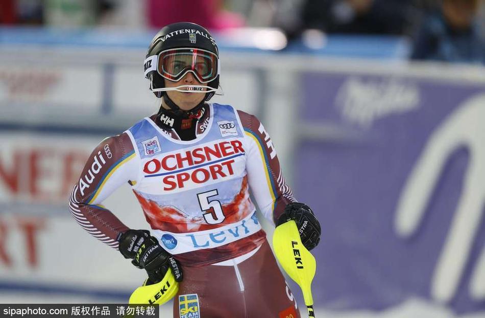 斯洛伐克代表团斩获金牌增强实力