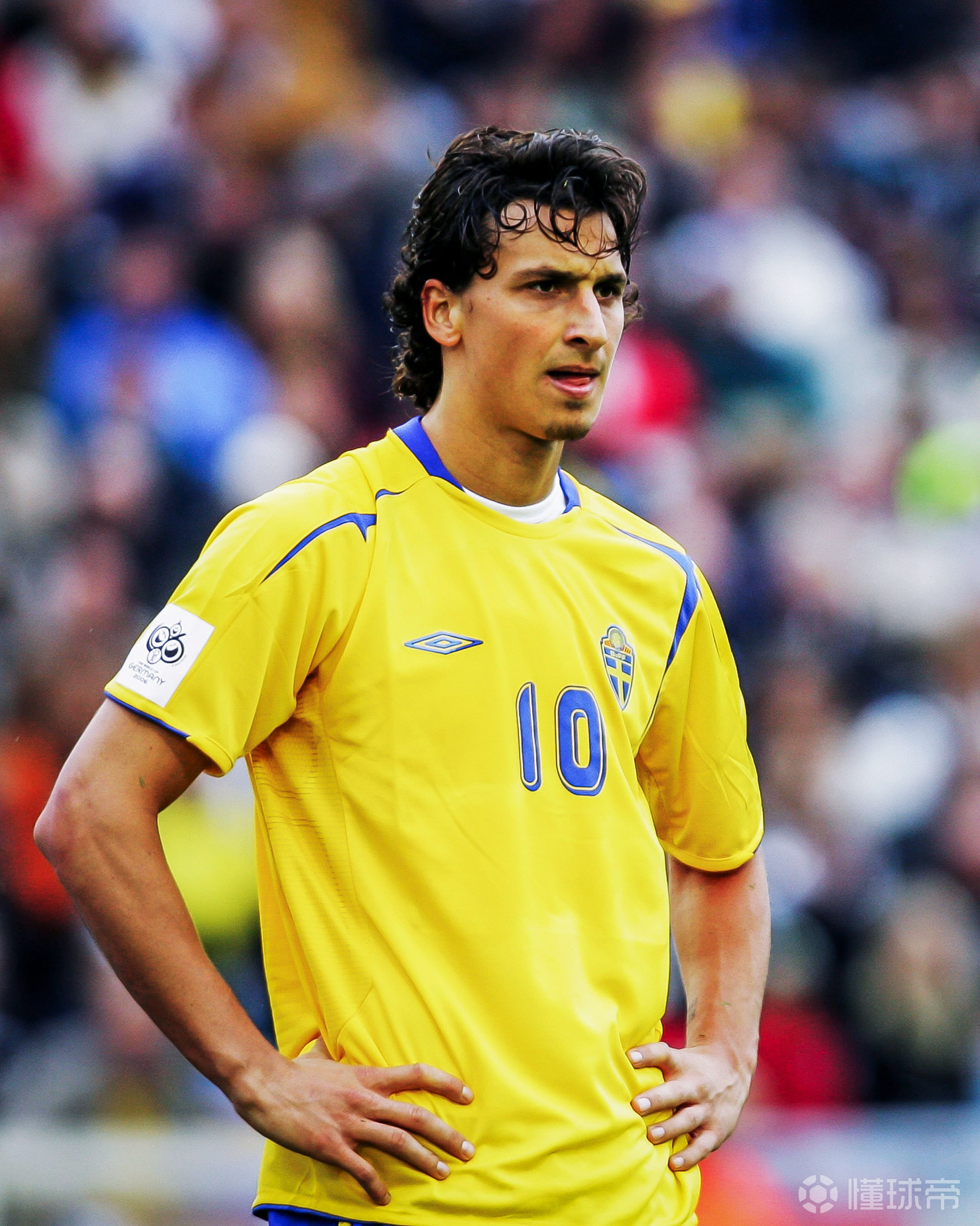 关于瑞典力克波兰，晋级一线希望的信息