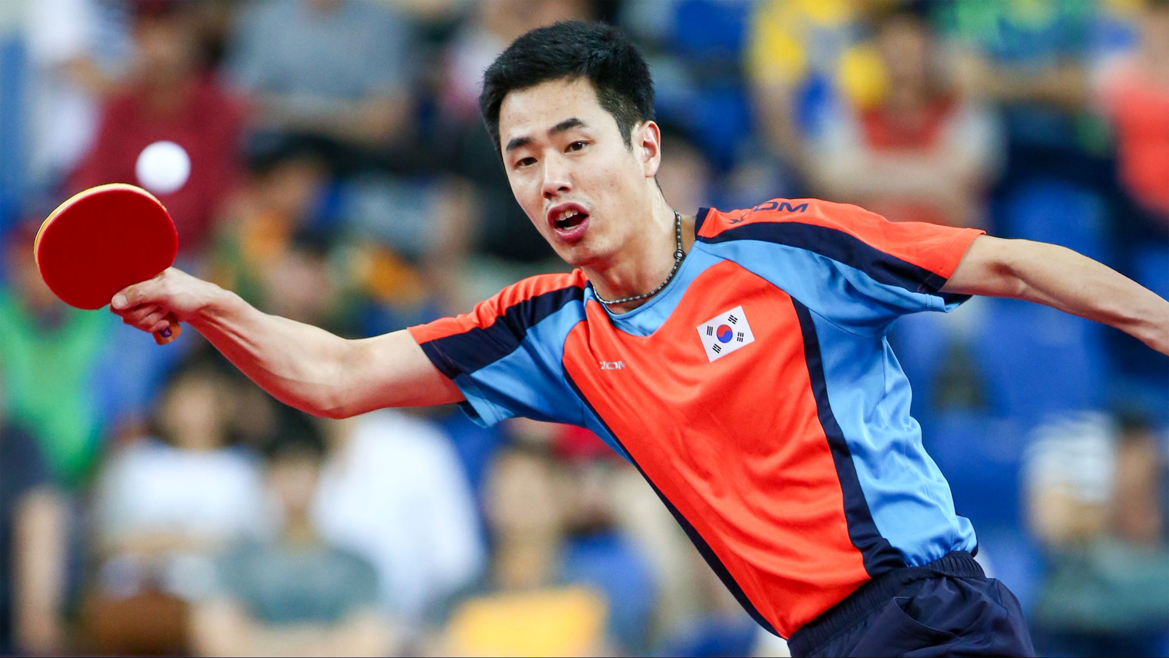 泰国队力克韩国队，马琳惊艳四座的简单介绍