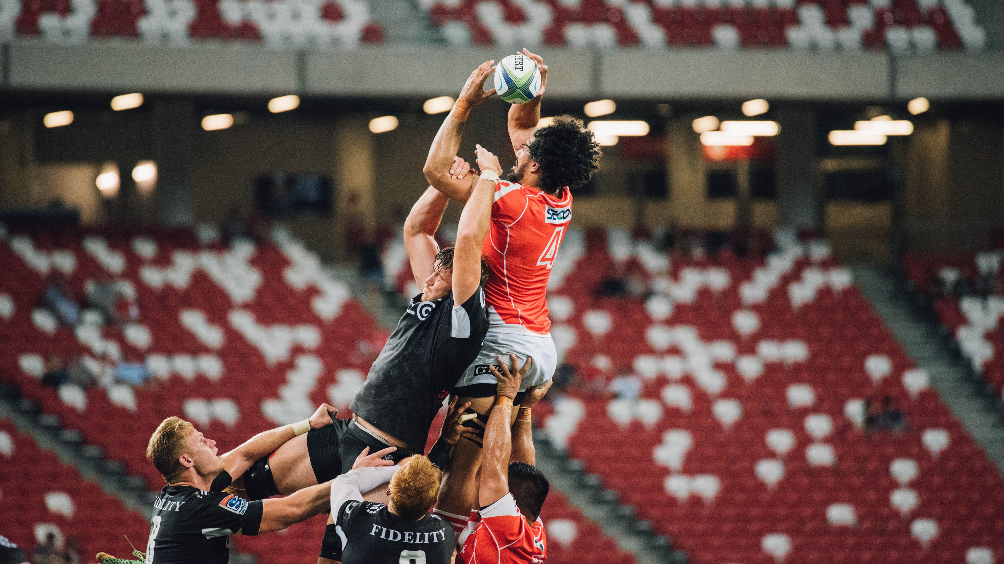 莫兰特爆发背后的启示，从辽宁队强势晋级看黄蜂式团队进化