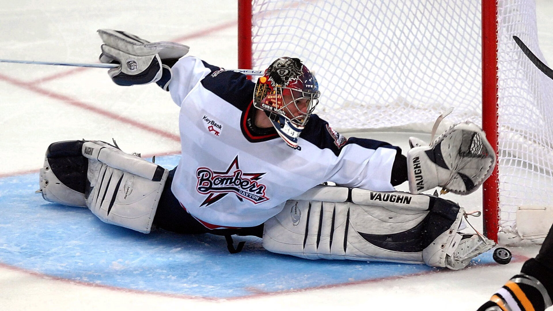 莫兰特爆发背后的启示，从辽宁队强势晋级看黄蜂式团队进化